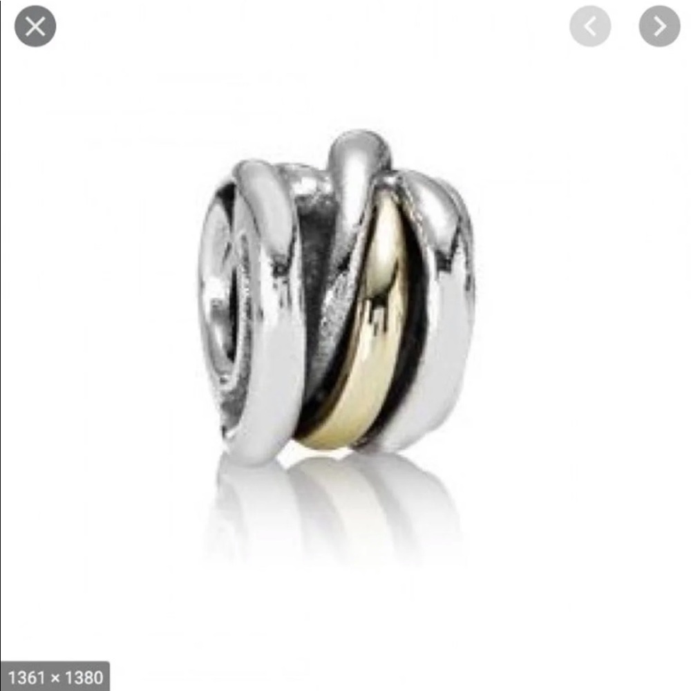 Pandora Retired 2-tone Ring Cluster Charm 790153